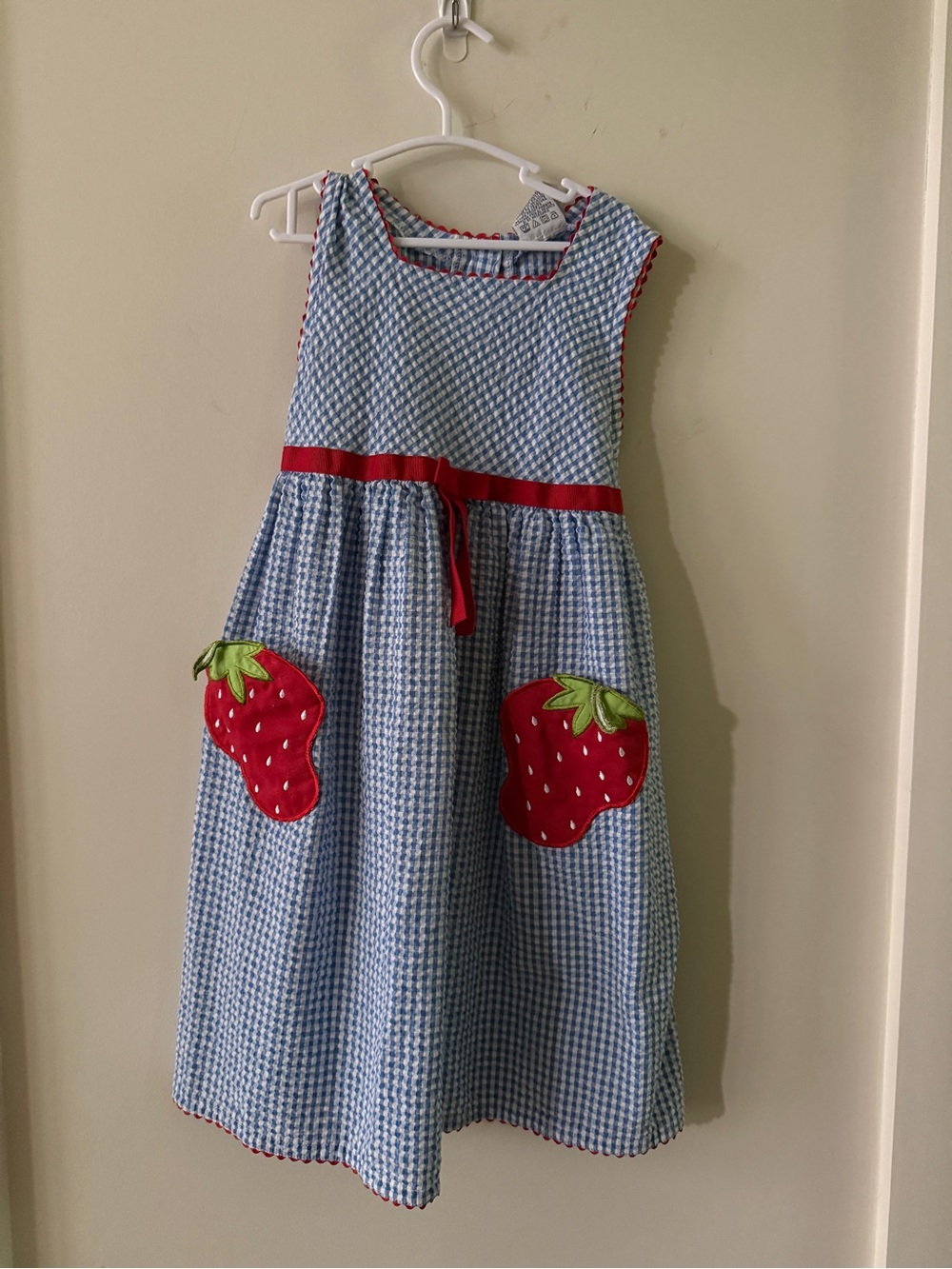 Youngland Blue Gingham Dress with Red Strawberry Appliqués